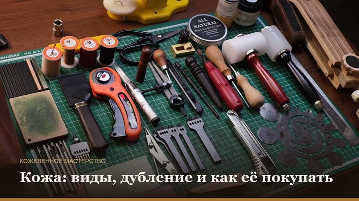 Кожа: виды, дубление и как её покупать
